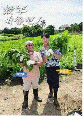 香蕉视版本下载安装核对流程第一步记录来源
